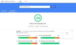 গুগল পেজ স্পিড