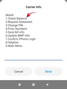 বিকাশে টাকা দেখে কিভাবে